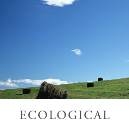 ECOLOGICAL